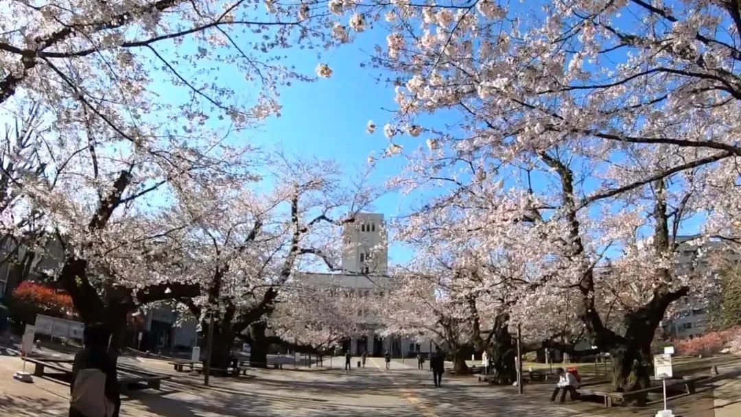 東京工業(yè)大學